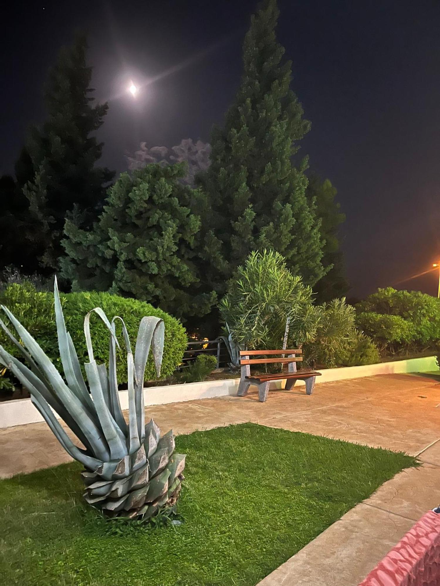 Adriatic Apartman Bečići Exterior foto